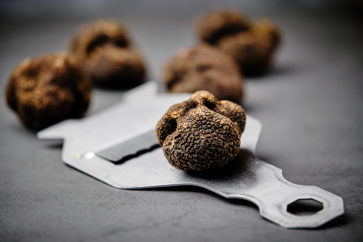 Tartufo nero pregiato